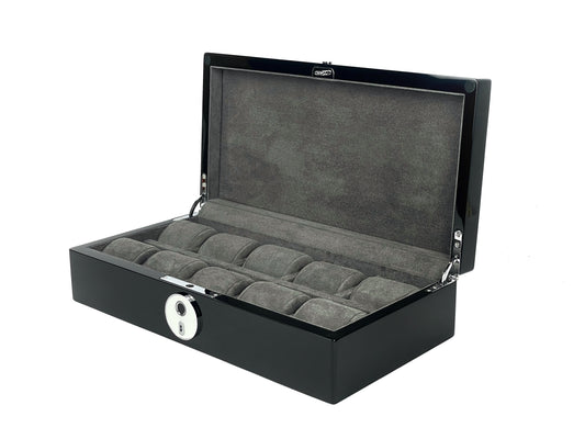 10 Biometric Watch Box