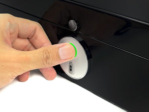 10 Biometric Watch Box (Window)