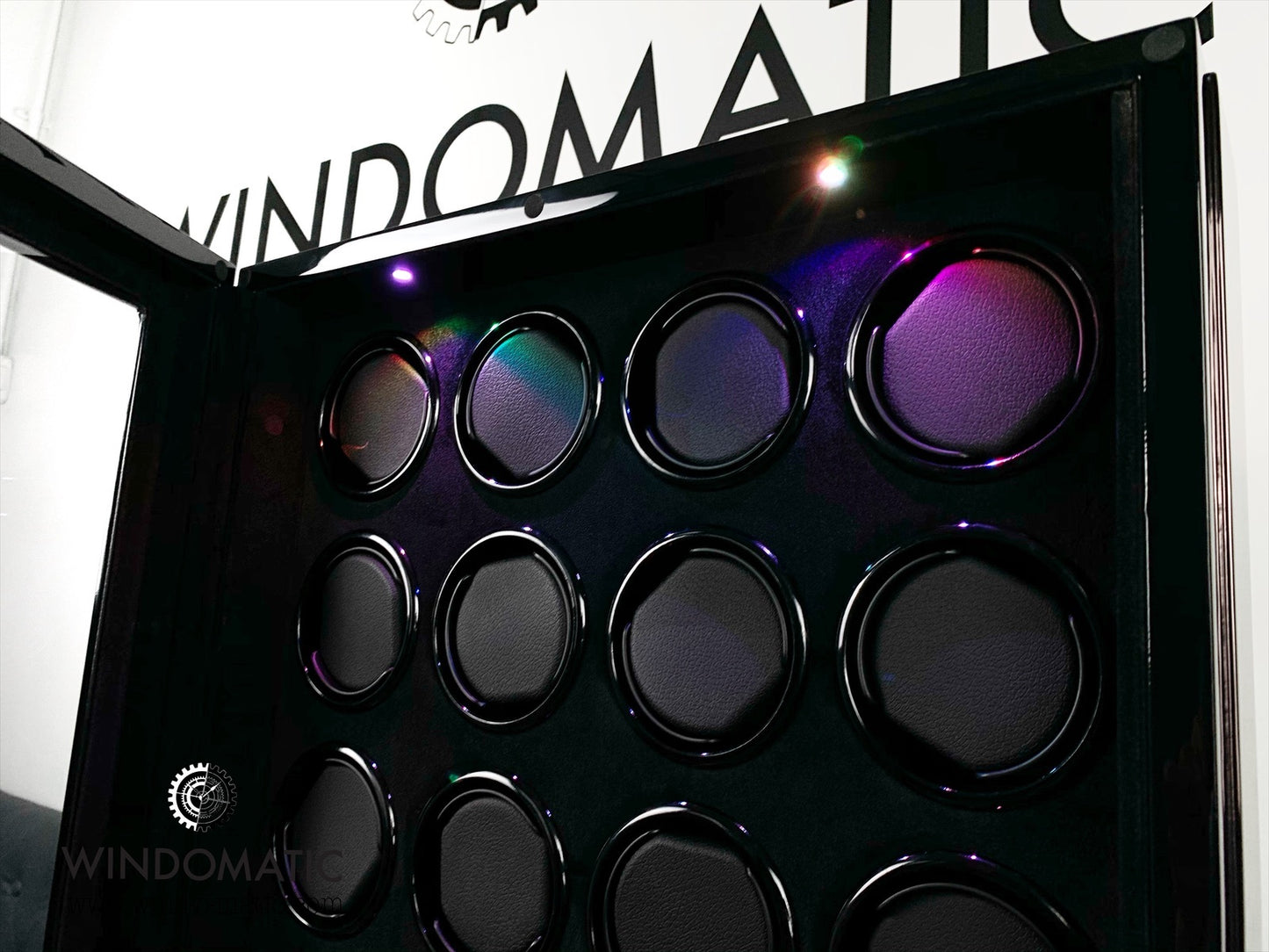 24+0 Madagascar Watch Winder